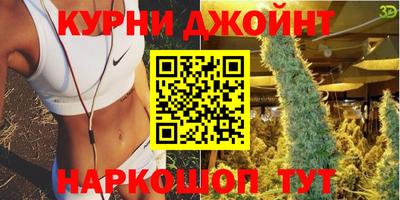 Альфа ПВП Бийск