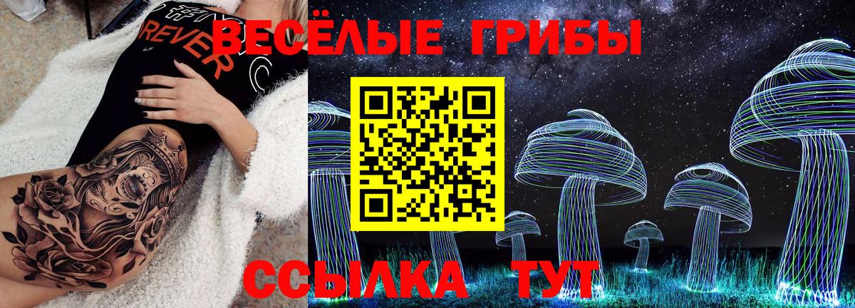 где купить наркоту  Псилоцибиновые грибы GOLDEN TEACHER  Вход с VPN  Ейск 