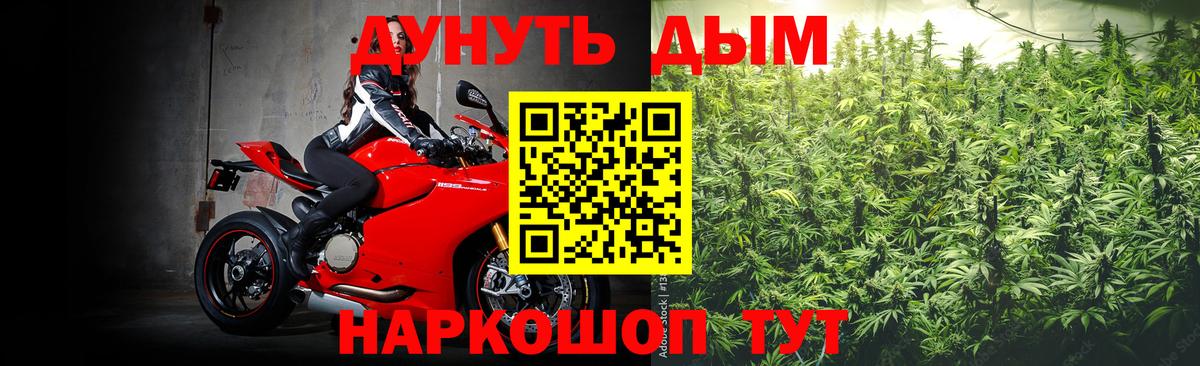 Бошки Шишки гибрид Ейск